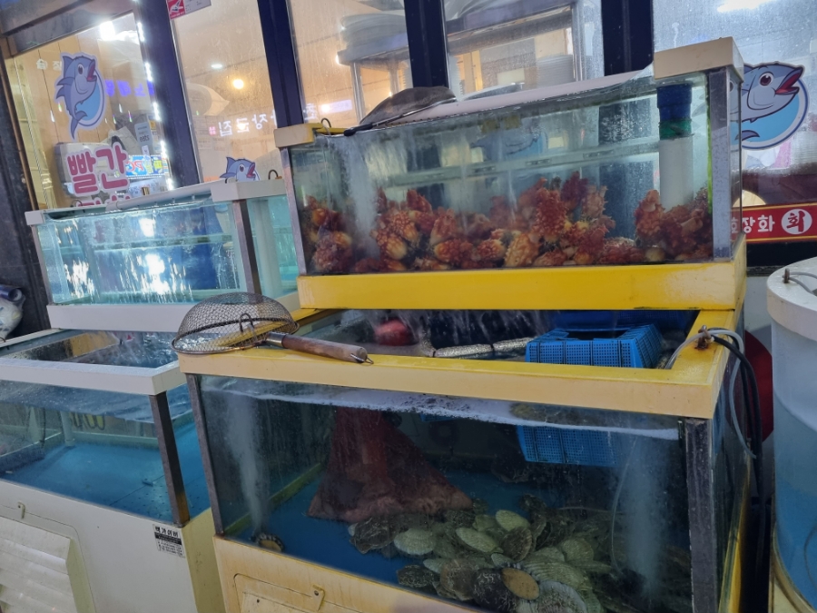 빨간장화무한막회 이미지