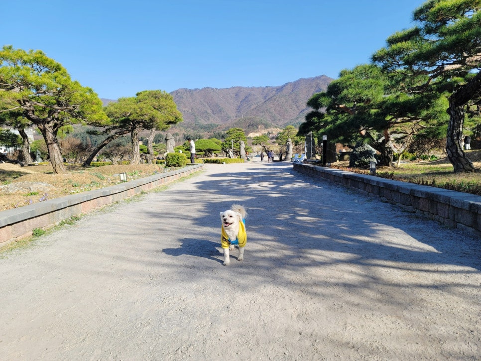 리안베이커리 이미지