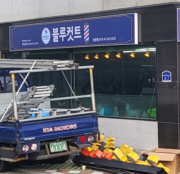 블루커트 이미지
