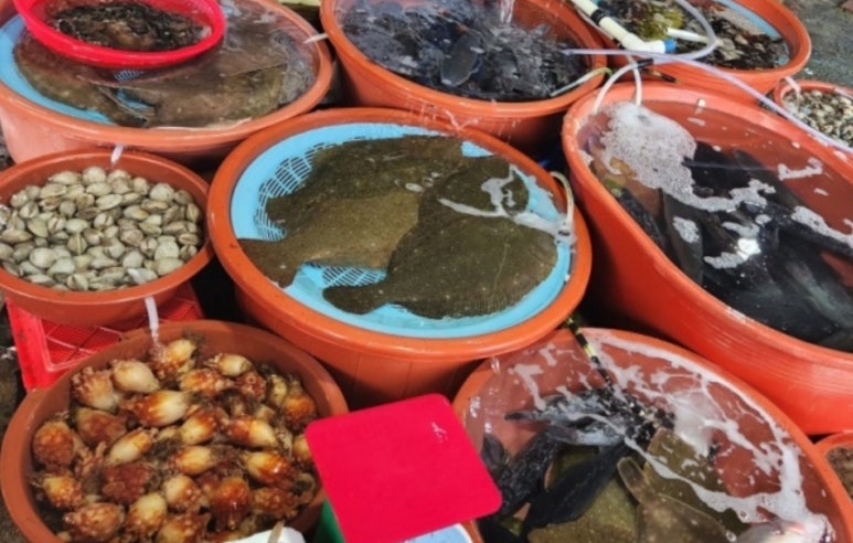 충남건어물 이미지