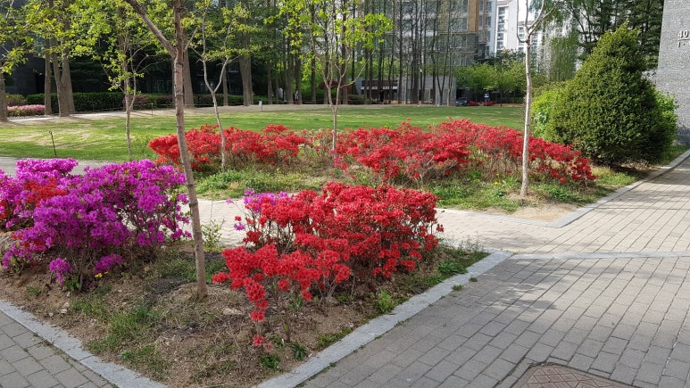 새로운내과 이미지