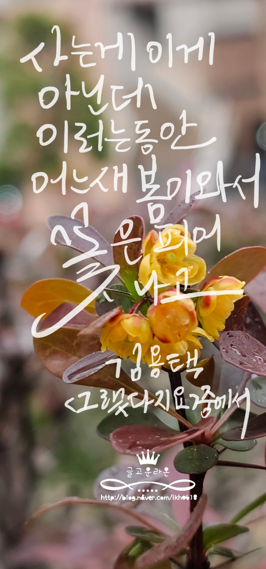 광희에세이 이미지