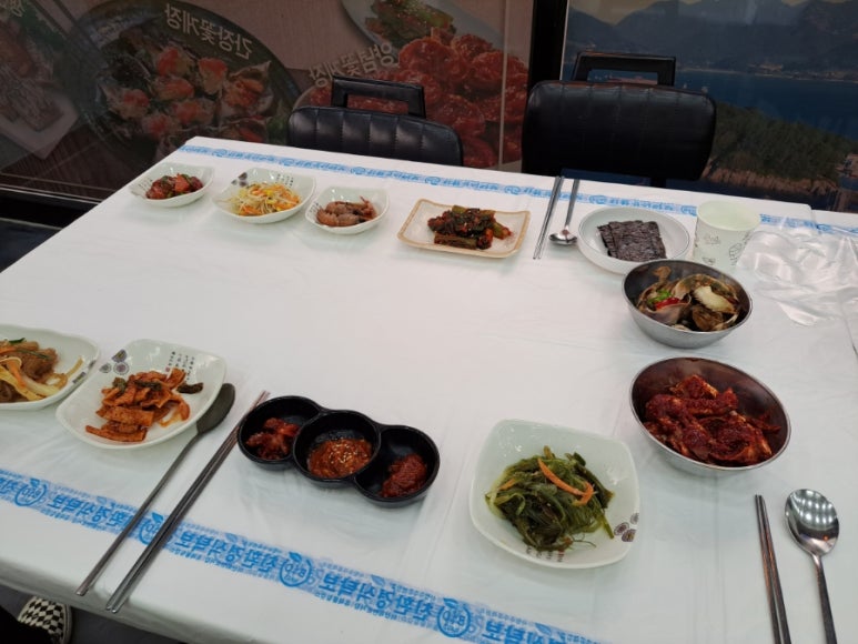 거북이 몰 이미지