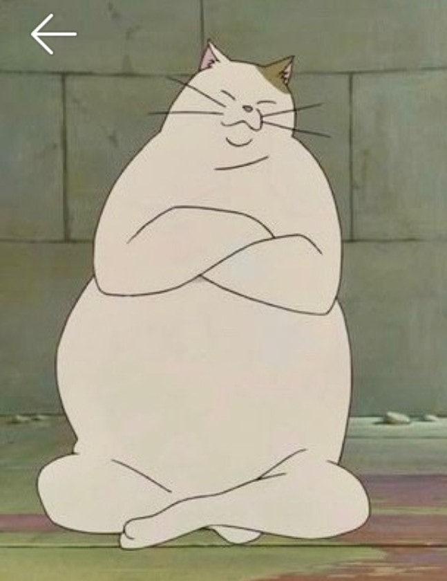 무타 이미지
