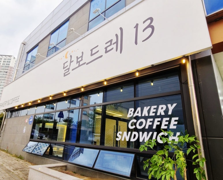 달보드레13 이미지
