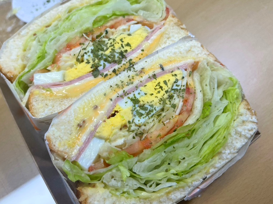 샌디샐리 이미지