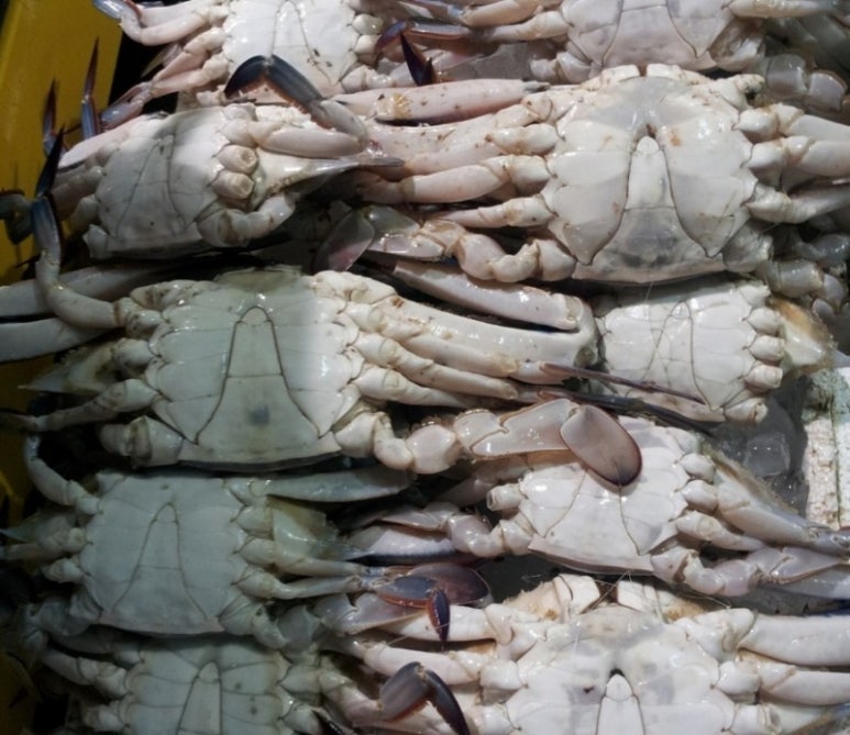 충남건어물 이미지