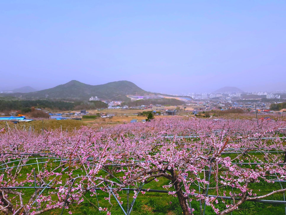 (주)선웅 이미지