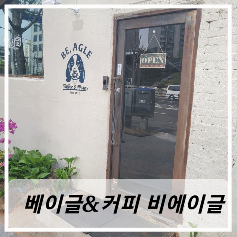 비에이글(Be, agle) 이미지