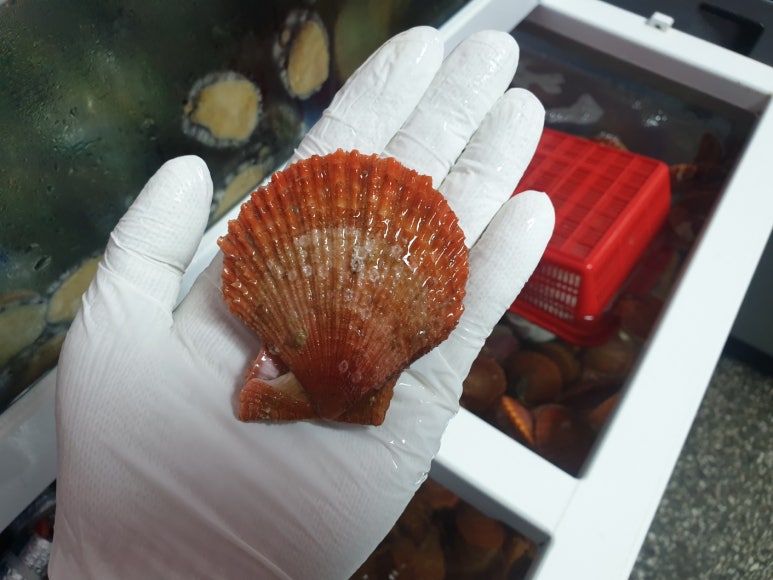해신수산포차 이미지