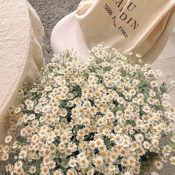 잉글리쉬앤 이미지