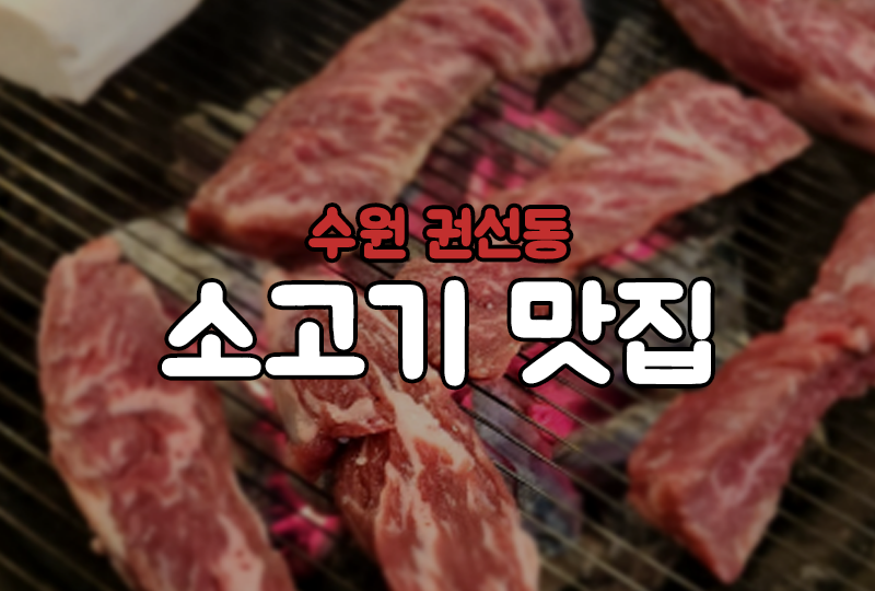 검은꽃소 이미지