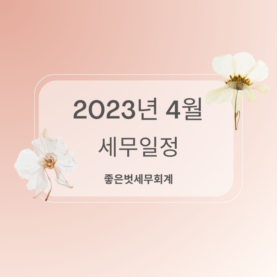 세무법인벗 이미지