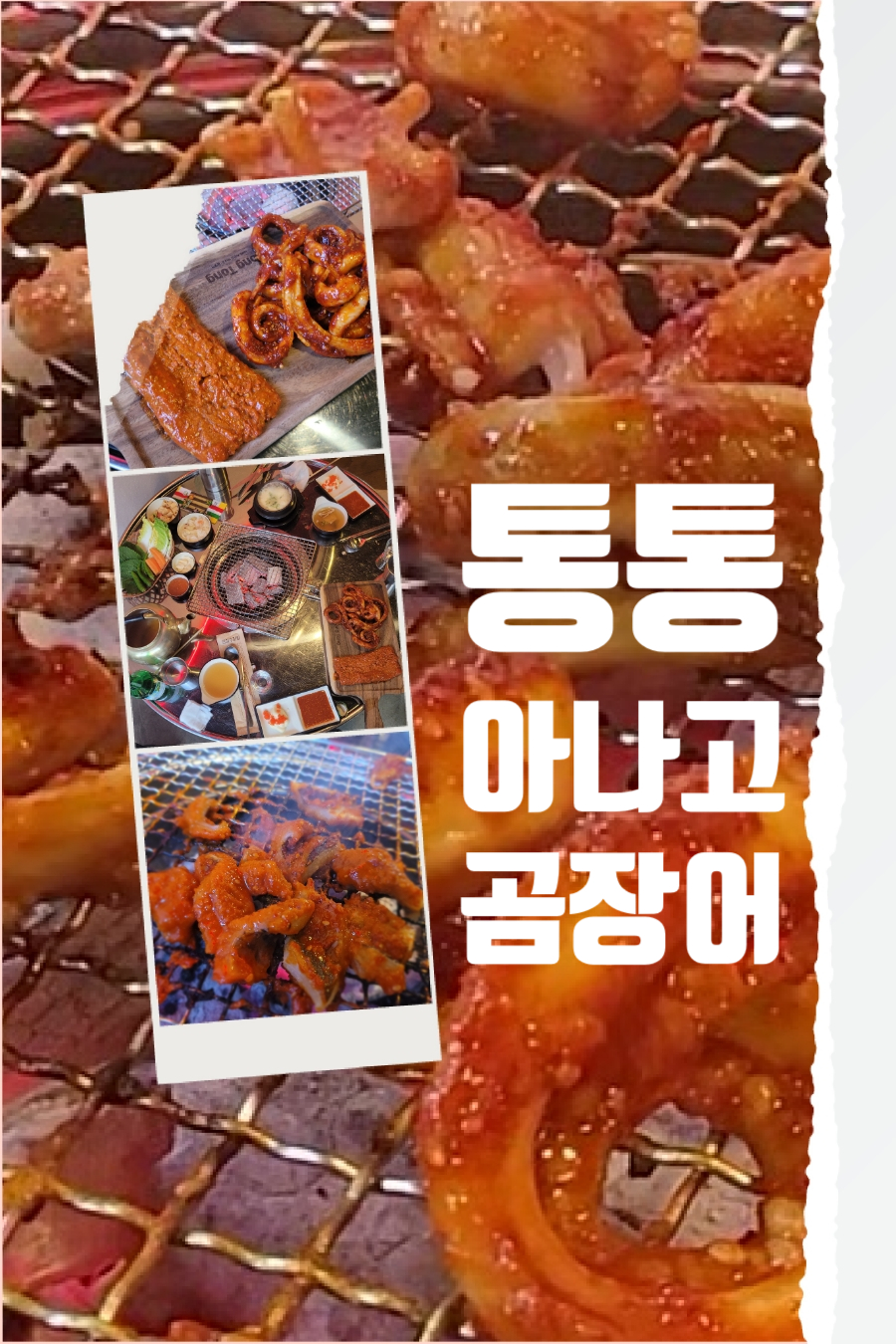 통통아나고 이미지