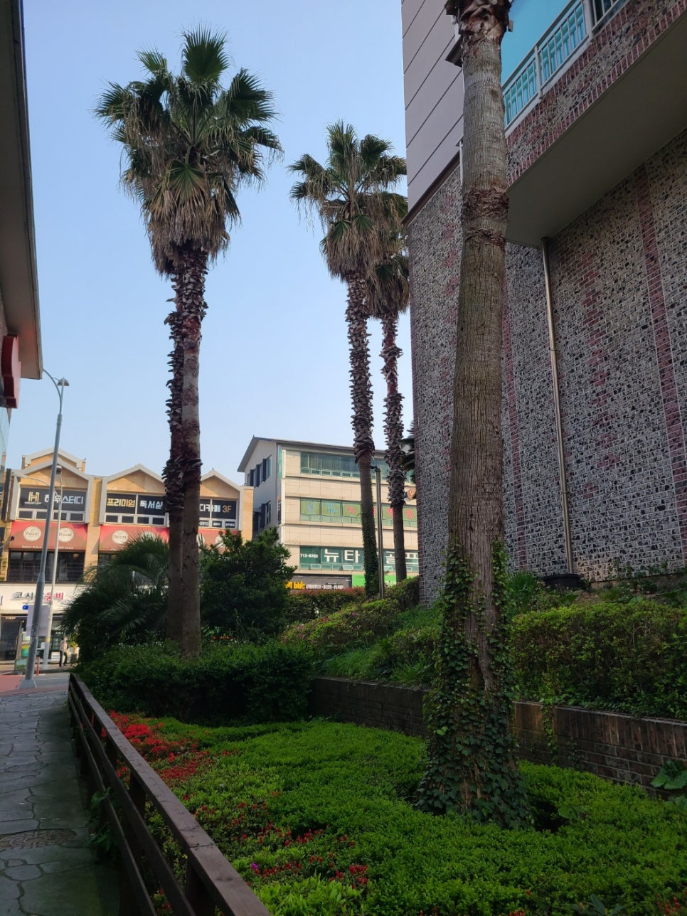 네일더예쁜푸스온탑 이미지