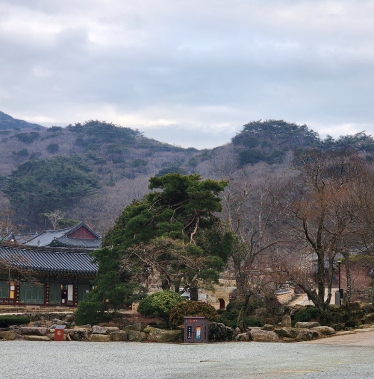 우리여행사주 이미지
