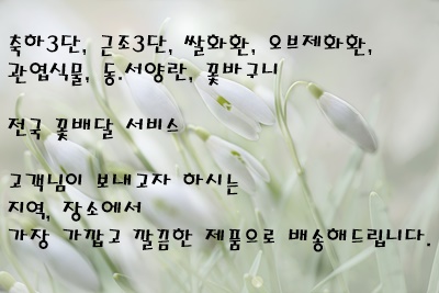 규암농협장례식장 이미지