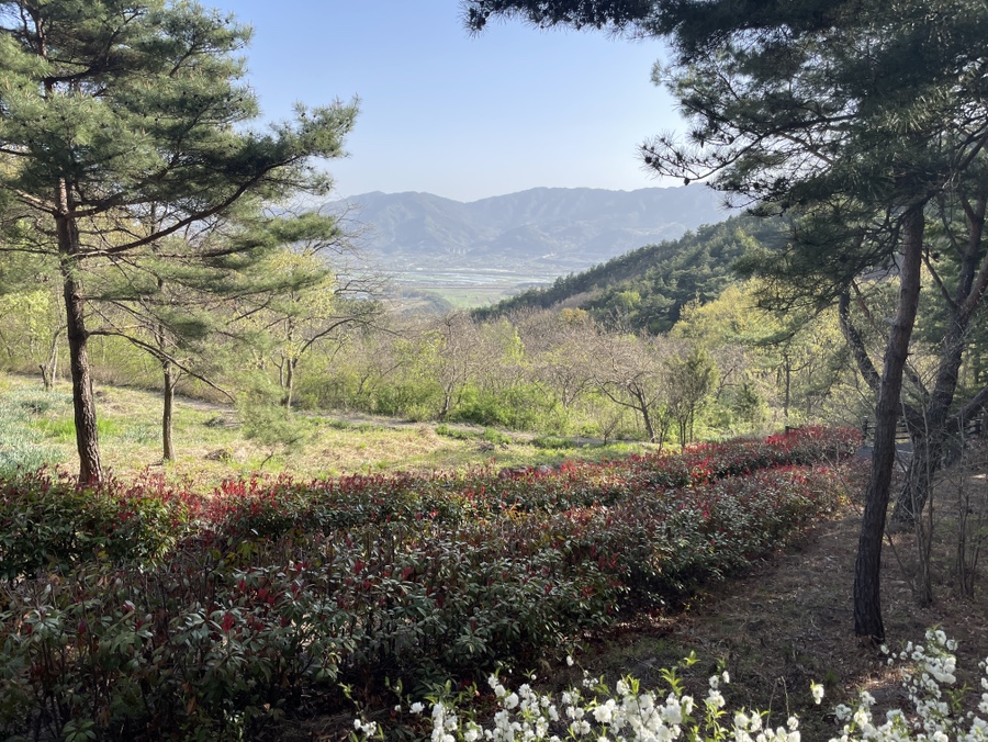 지리산정원 유아숲체험원 이미지