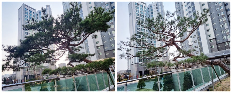 내포조경관리 이미지
