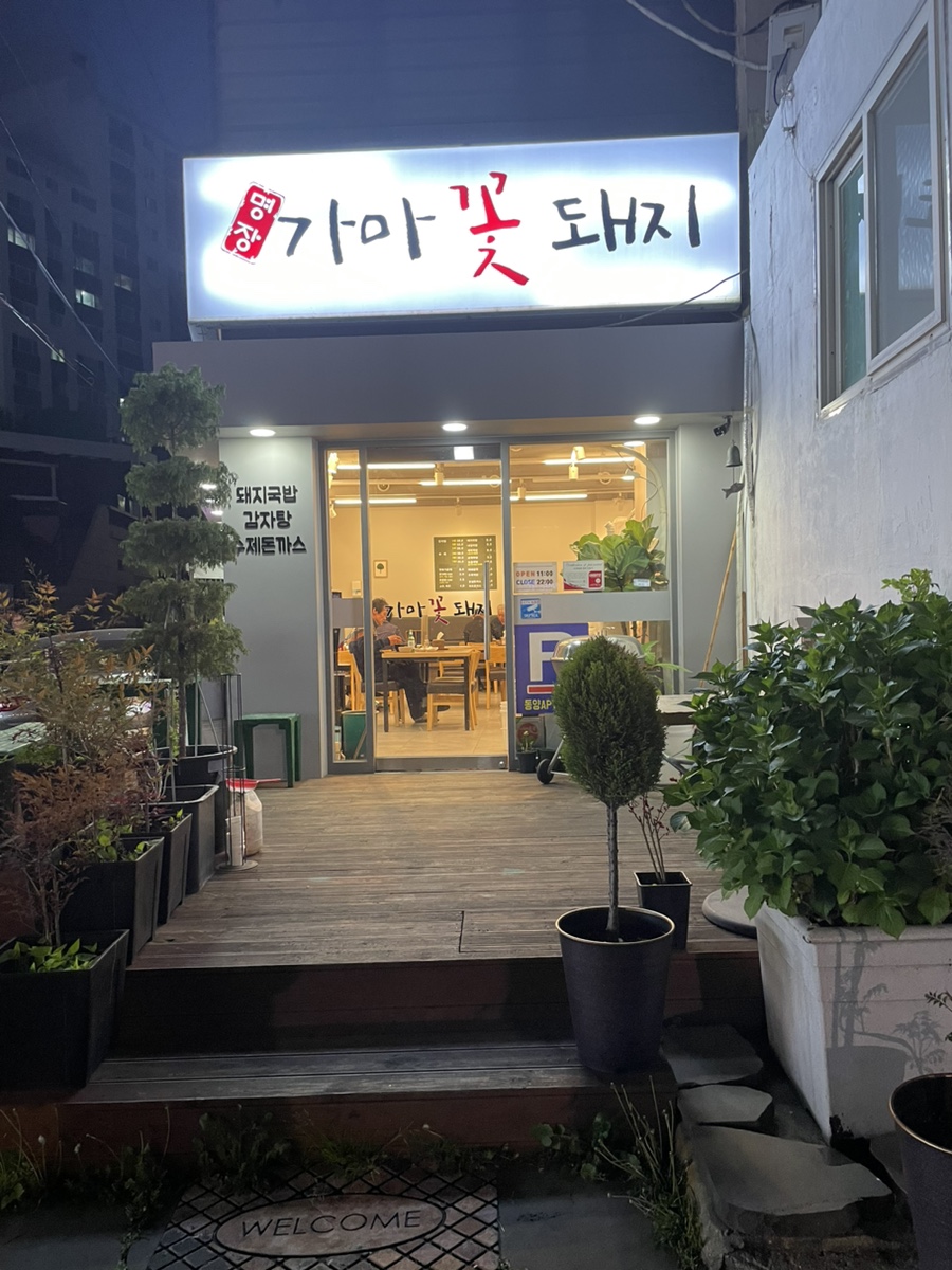 가마꽃돼지 이미지
