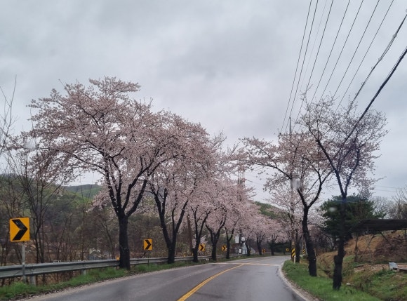 가치배움에듀스 이미지
