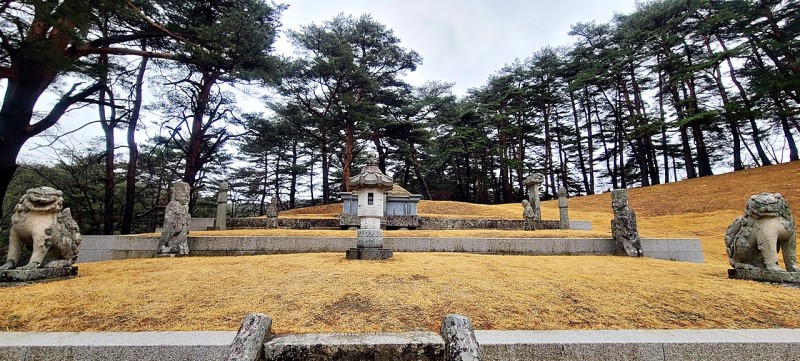 거북이자동차나라 이미지