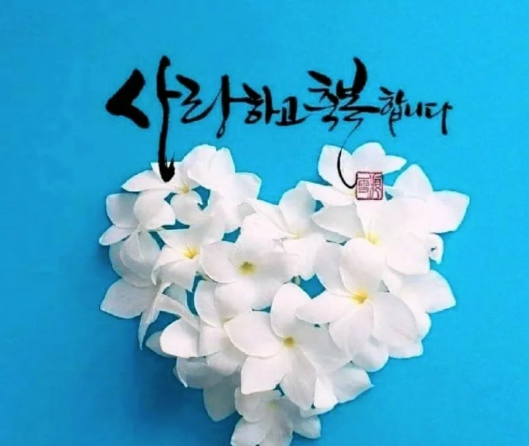 싹난지팡이 이미지
