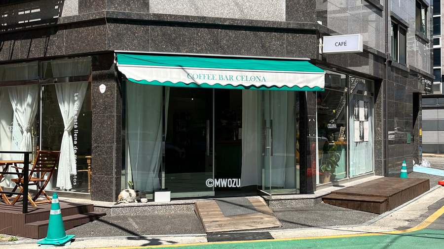 셀로나(Celona) 이미지