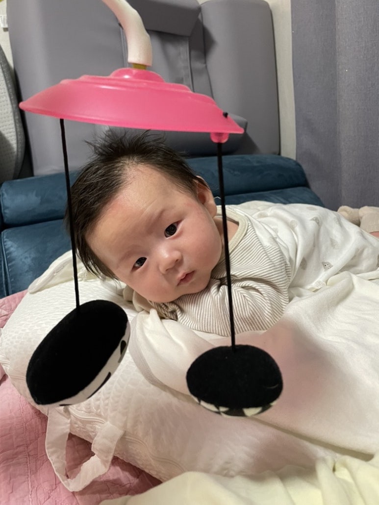 전주지역자활센터보드레기저귀 이미지
