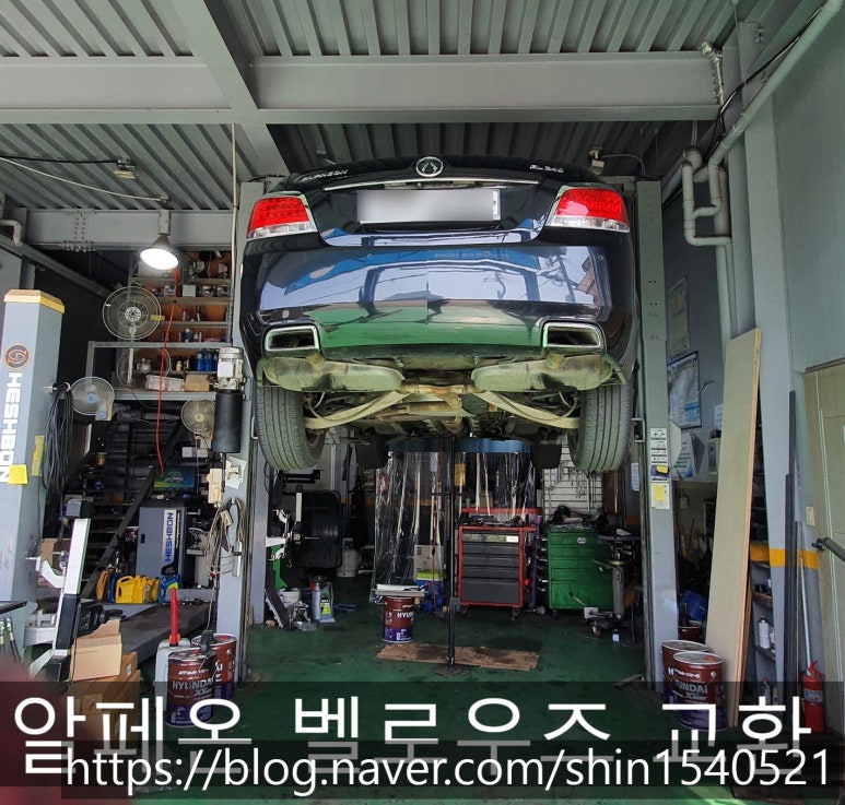 덕진카클리닉 이미지