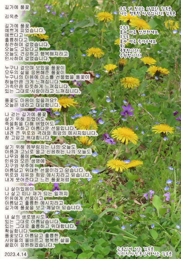 풀꽃 이미지