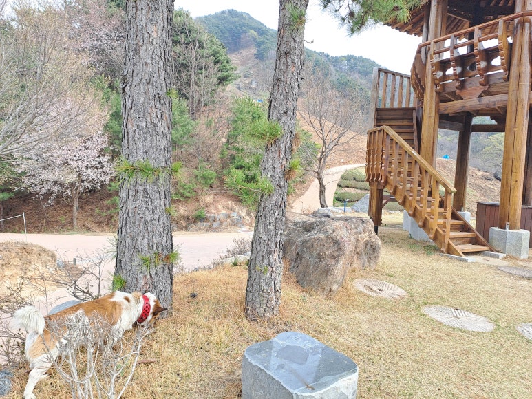 삼거리상회 이미지