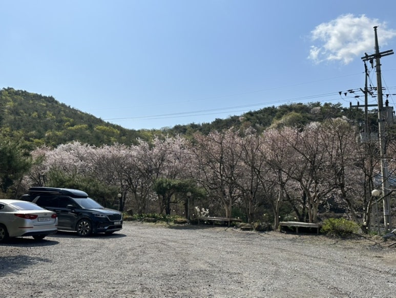 금수산어부네자연밥상 이미지