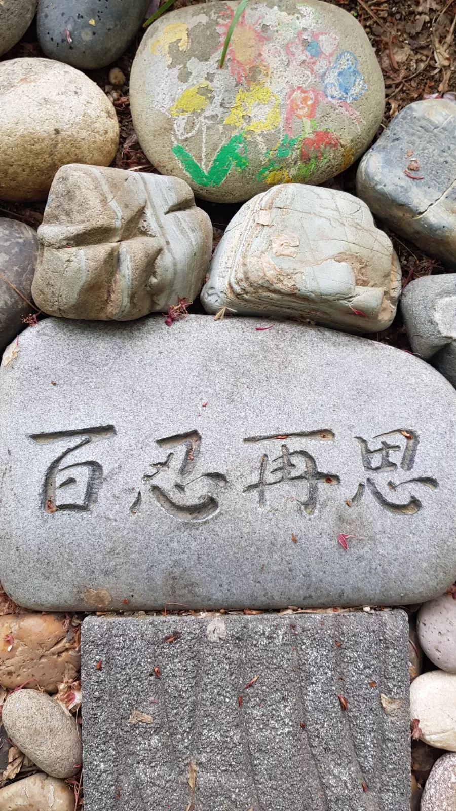 낙지아줌마 이미지