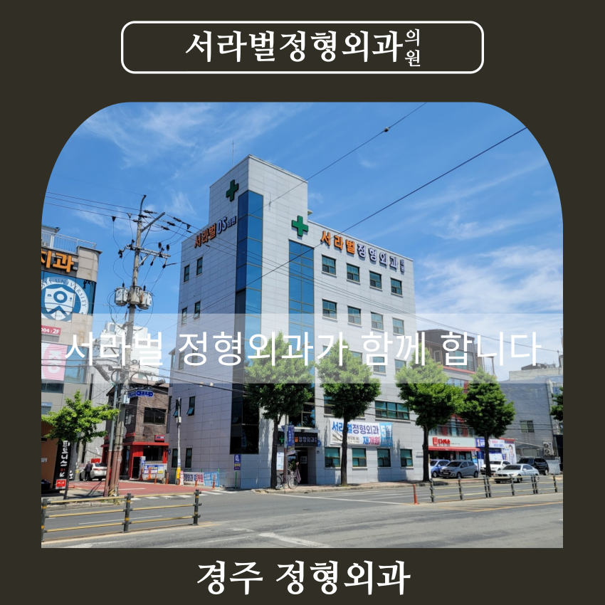 서라벌정형외과 이미지
