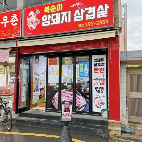 복순이암돼지 이미지