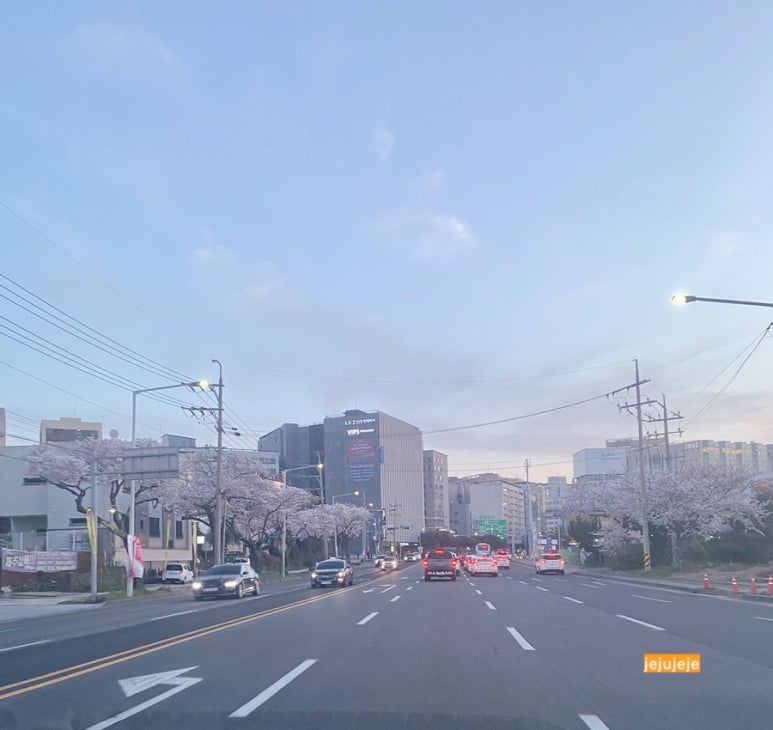 제주연어로만제주점 이미지