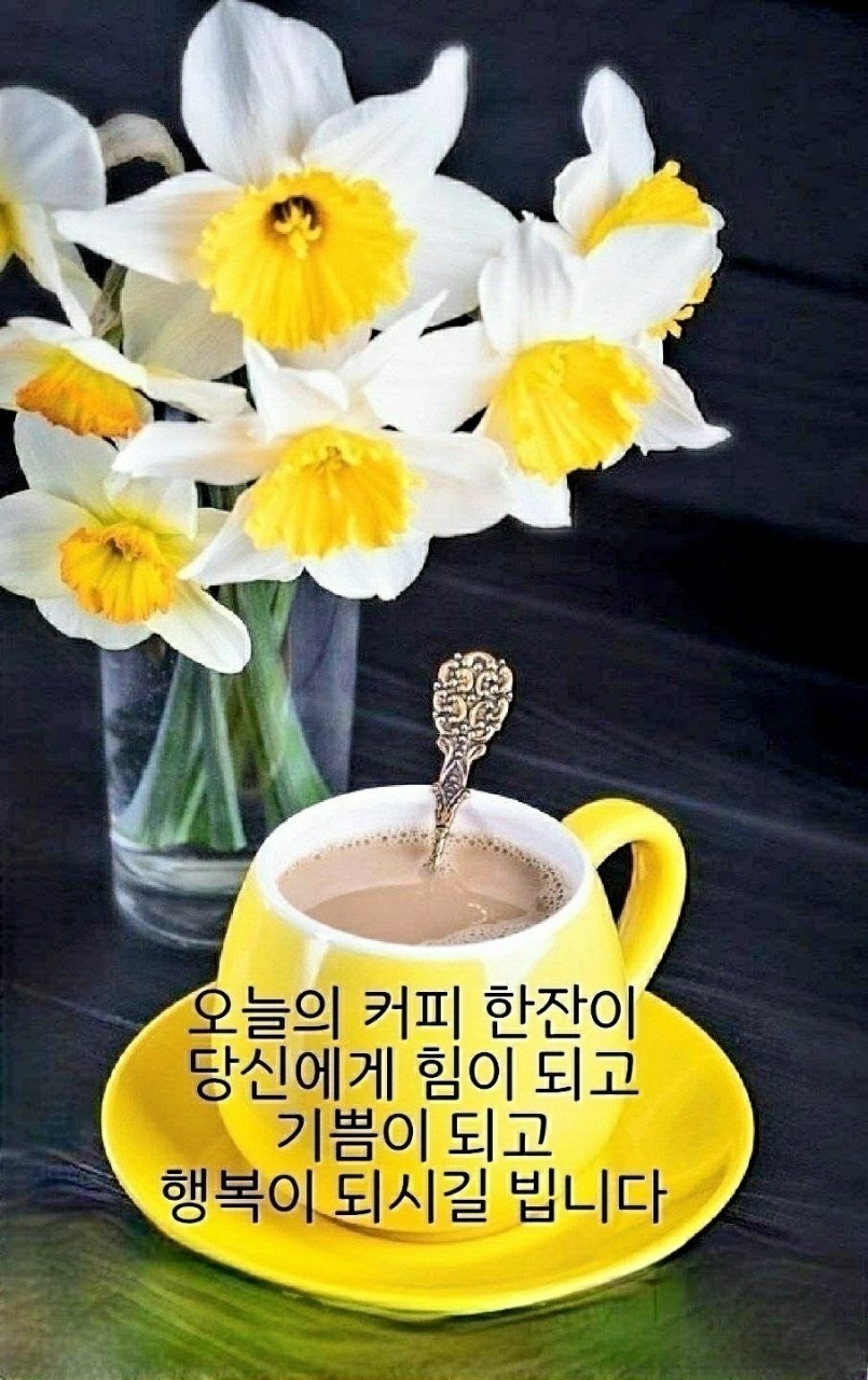아향 이미지