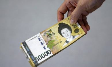 돼지학교 이미지