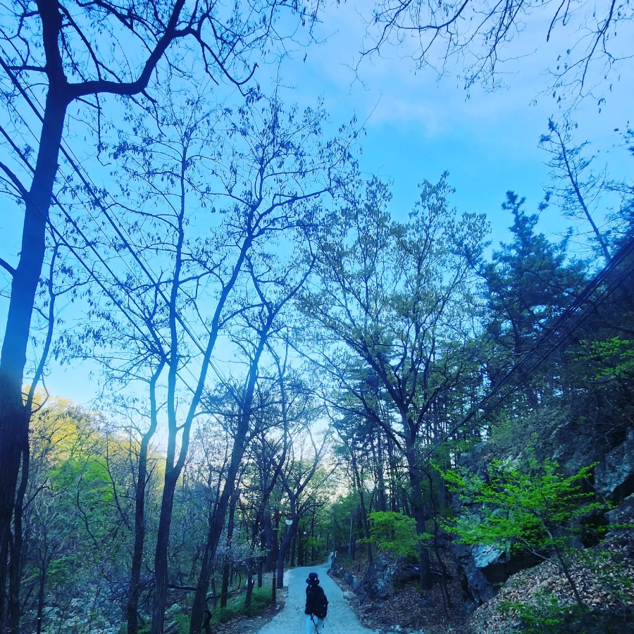 제이와이유컴퍼니 이미지