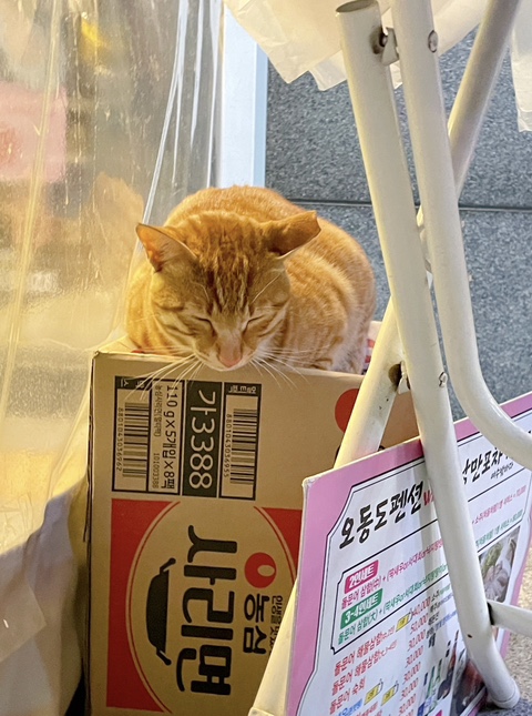정원포차 이미지