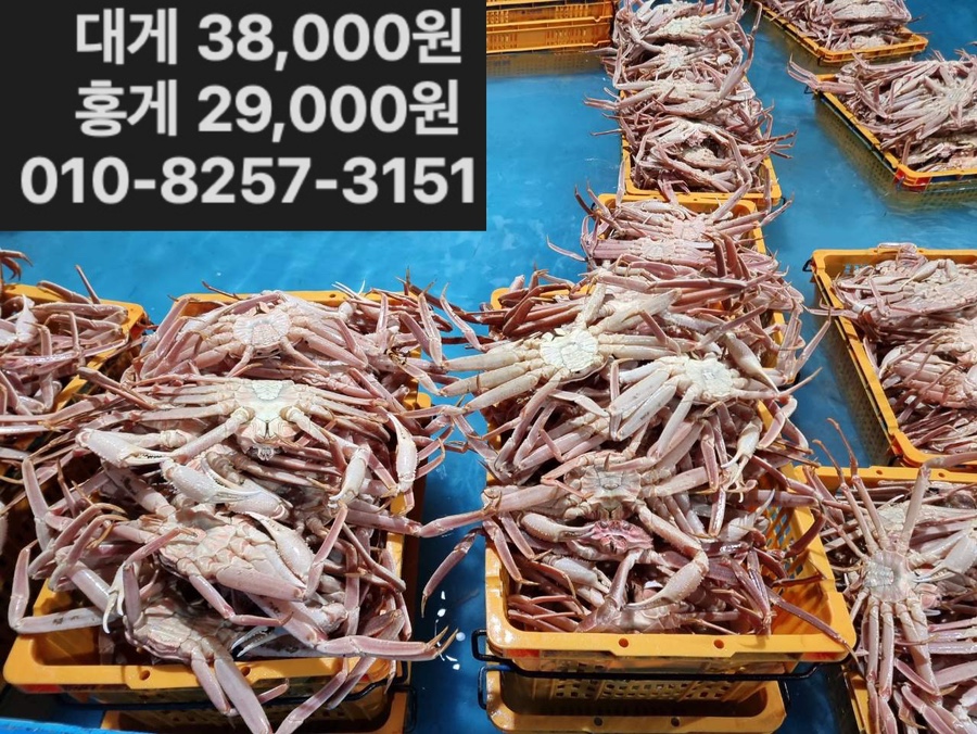 대게킹홍게킹 이미지