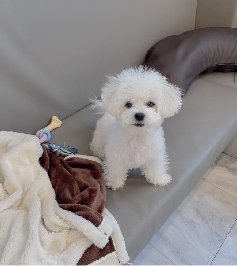 찐남성컷트 이미지