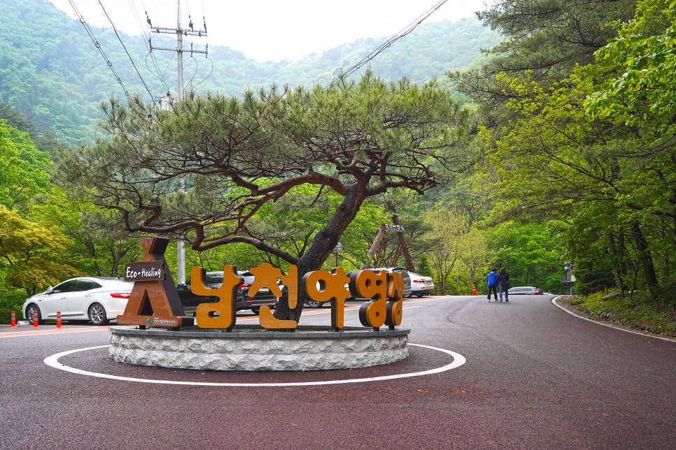 소백산국립공원 남천야영장 이미지