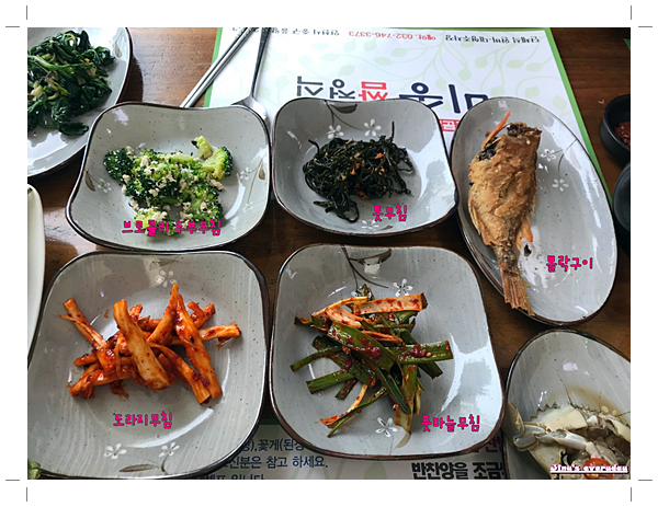 더미송 이미지