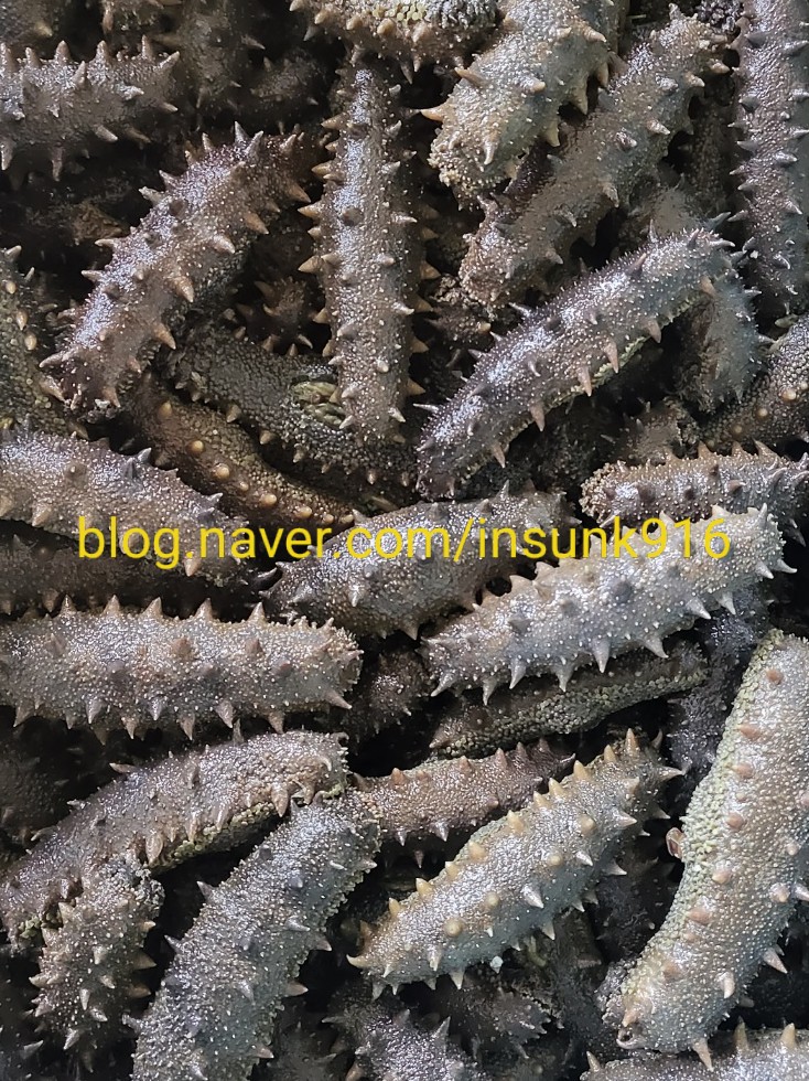 미포영어조합법인 이미지