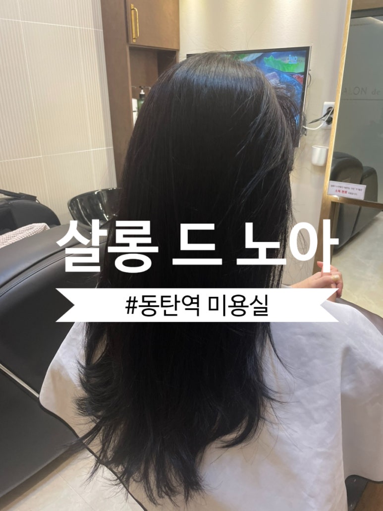 살롱드노아 이미지