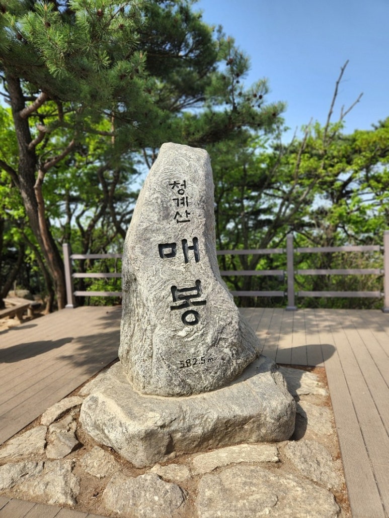 전통춘천닭갈비 이미지