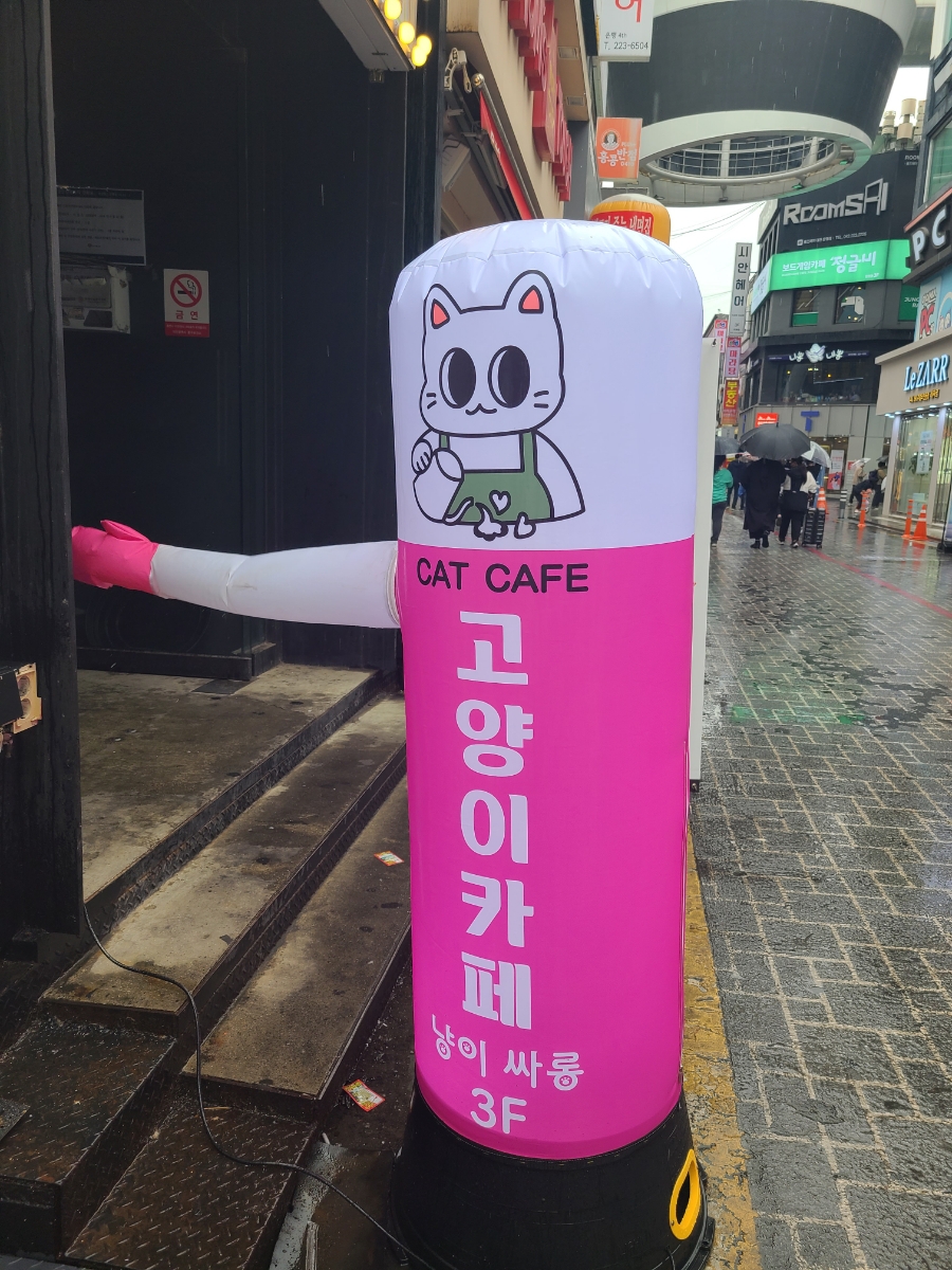 냥이싸롱 이미지