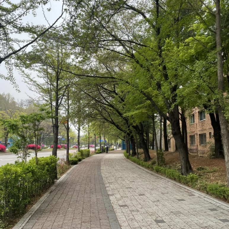 퍼스트푸릇 이미지